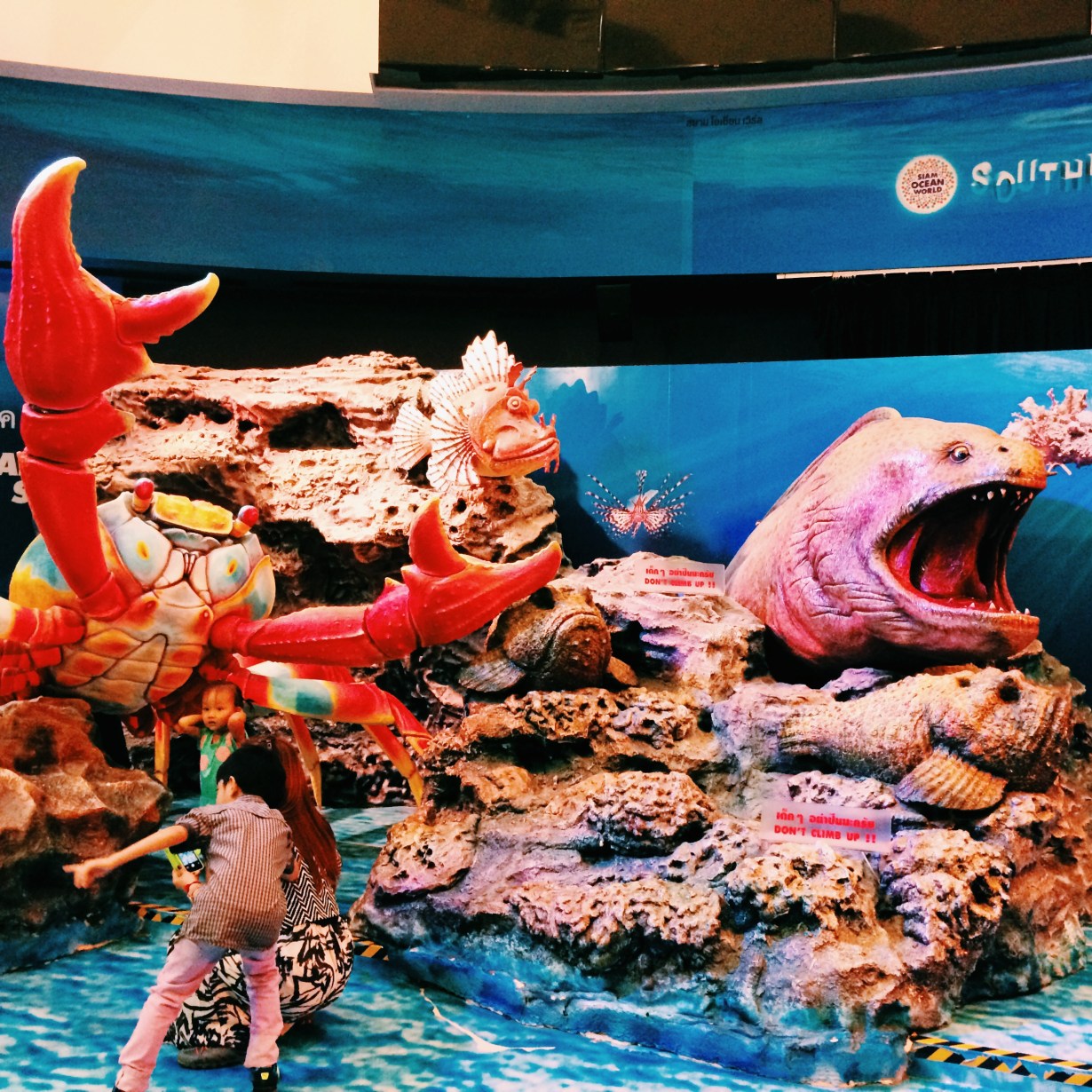 Just a bunch of landlubbers 