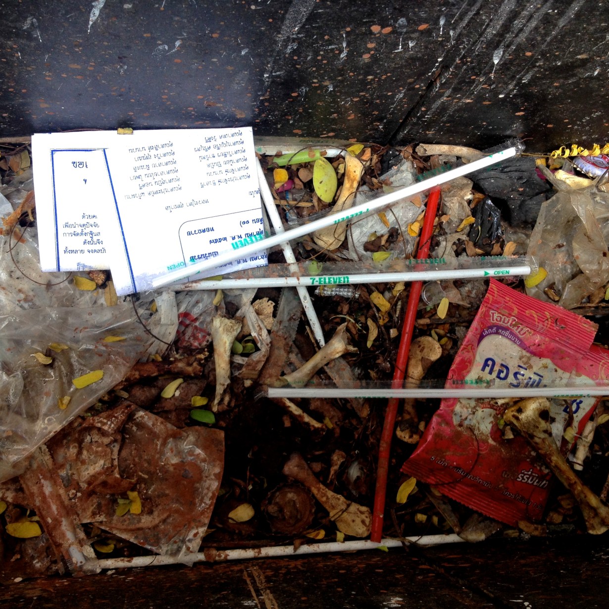 Was not kidding about the bones