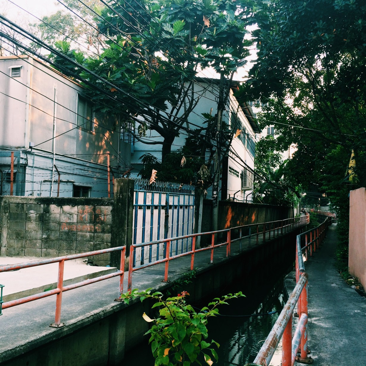 Processed with VSCOcam with c1 preset