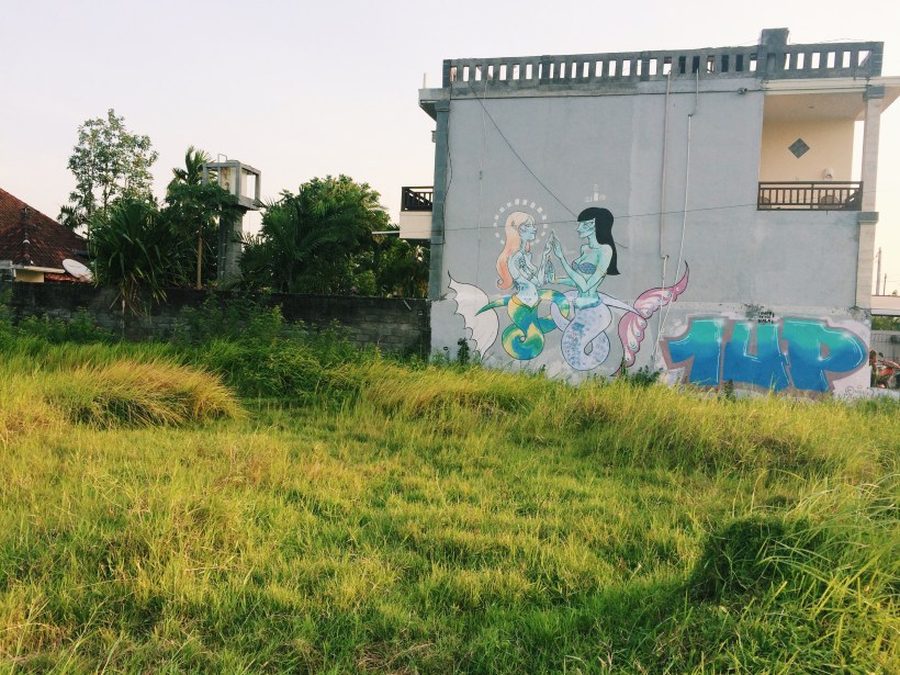 Canggu, all rice fields and street art. Also, cows. 